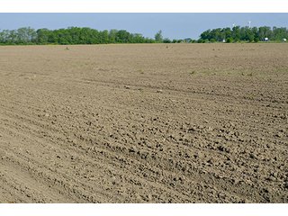 Property photo 86 - LAND AUCTION - 215+/- ACRES OFFERED IN 6 TRACTS IN VAN WERT COUNTY, OHIO